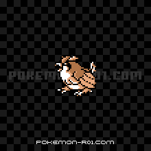 NoF016 - |b|  |P}Ӂ^|P ԁE U